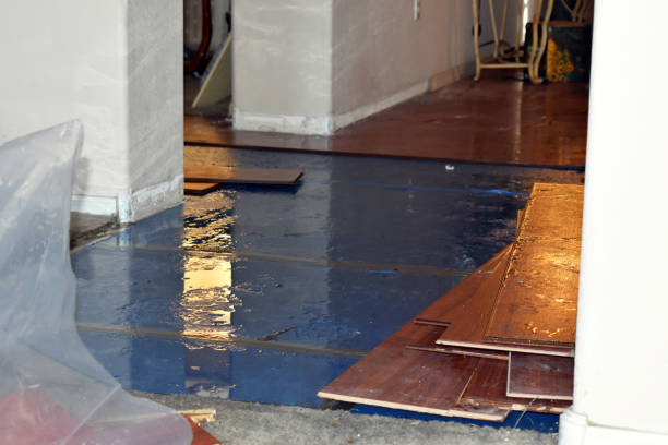 Professional Burst Pipe Cleanup technician working in Afton, WY